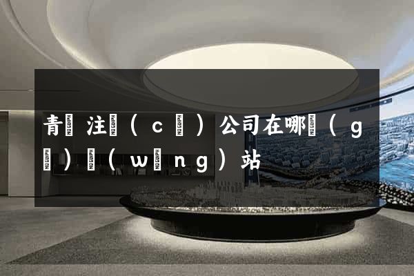 青島注冊(cè)公司在哪個(gè)網(wǎng)站