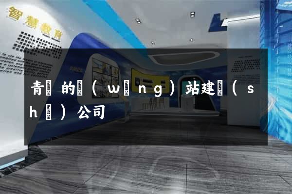 青島的網(wǎng)站建設(shè)公司