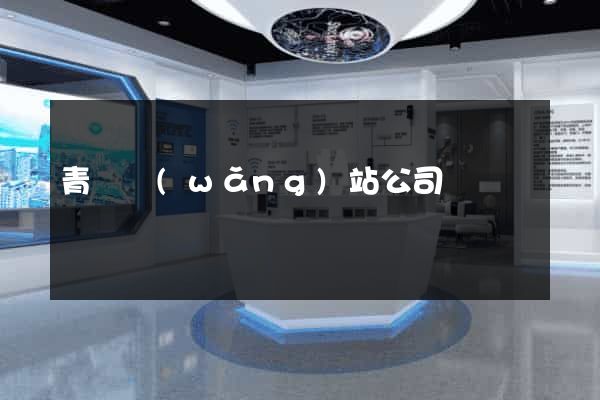 青島網(wǎng)站公司