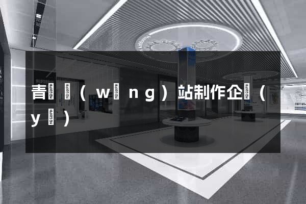 青島網(wǎng)站制作企業(yè)