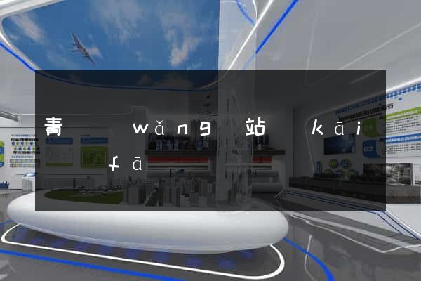 青島網(wǎng)站開(kāi)發(fā)