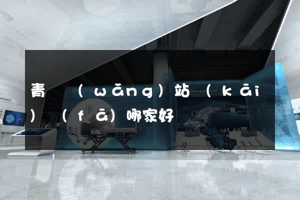 青島網(wǎng)站開(kāi)發(fā)哪家好