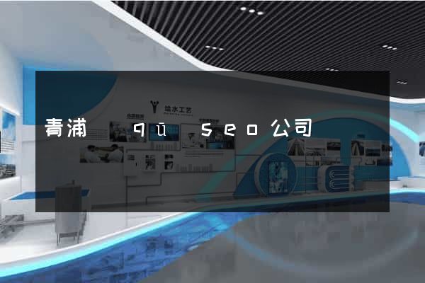 青浦區(qū)seo公司