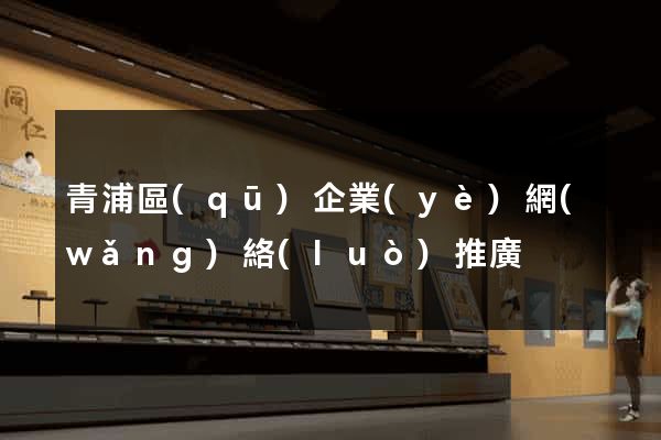 青浦區(qū)企業(yè)網(wǎng)絡(luò)推廣