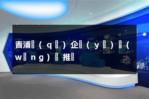 青浦區(qū)企業(yè)網(wǎng)絡推廣