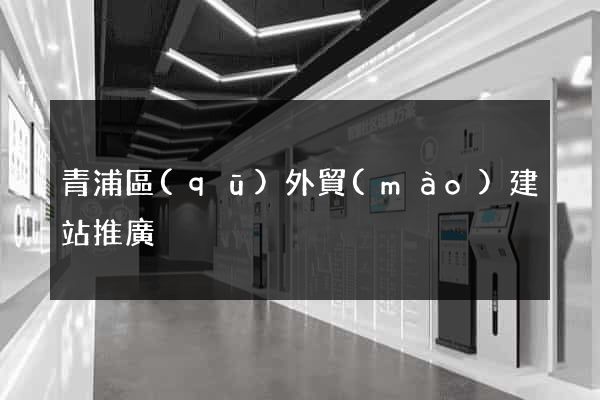 青浦區(qū)外貿(mào)建站推廣