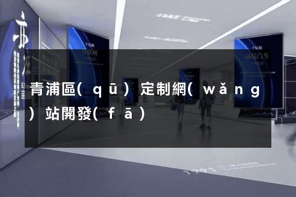 青浦區(qū)定制網(wǎng)站開發(fā)