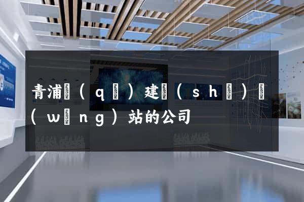 青浦區(qū)建設(shè)網(wǎng)站的公司