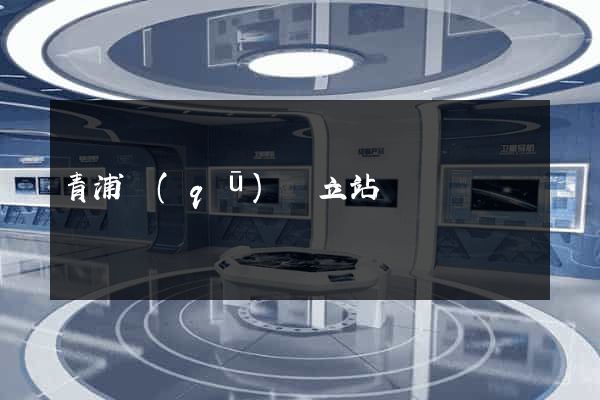 青浦區(qū)獨立站運營