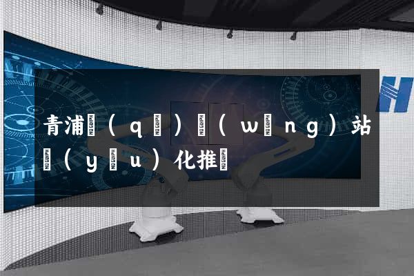 青浦區(qū)網(wǎng)站優(yōu)化推廣