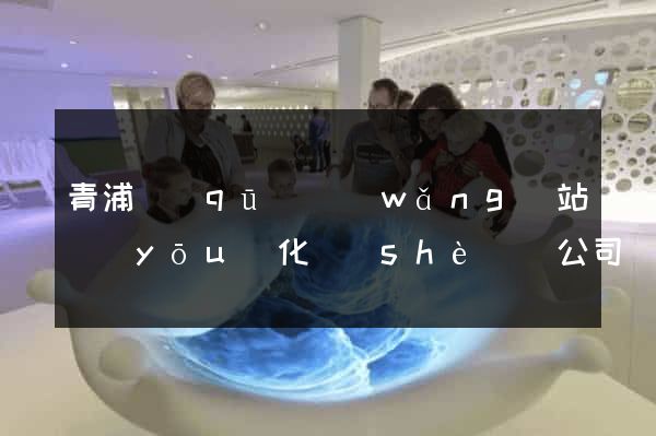 青浦區(qū)網(wǎng)站優(yōu)化設(shè)計公司