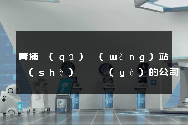 青浦區(qū)網(wǎng)站設(shè)計專業(yè)的公司