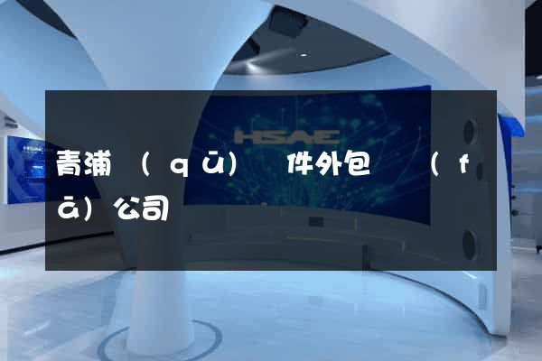 青浦區(qū)軟件外包開發(fā)公司