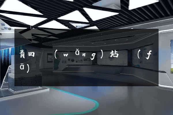 青田縣網(wǎng)站開發(fā)