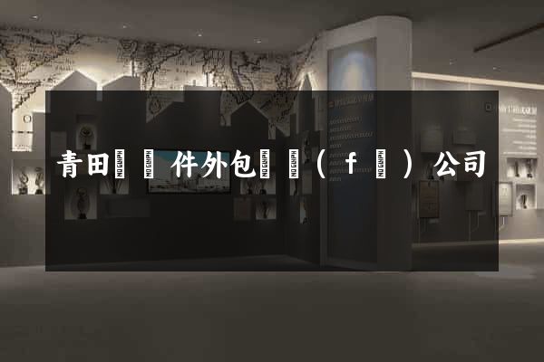 青田縣軟件外包開發(fā)公司