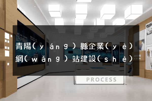 青陽(yáng)縣企業(yè)網(wǎng)站建設(shè)