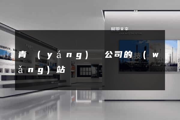 青陽(yáng)縣公司的網(wǎng)站