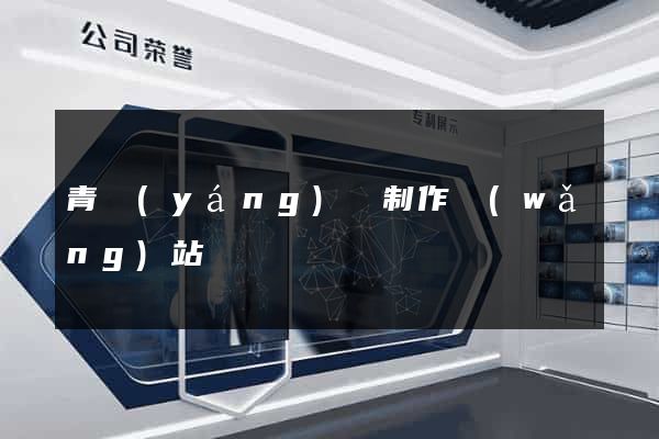 青陽(yáng)縣制作網(wǎng)站