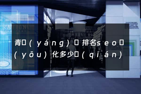 青陽(yáng)縣排名seo優(yōu)化多少錢(qián)