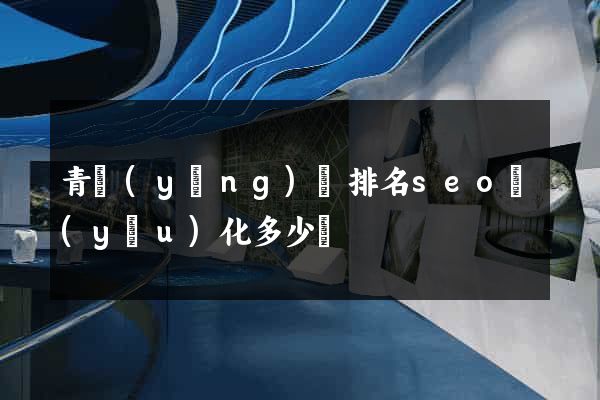 青陽(yáng)縣排名seo優(yōu)化多少錢