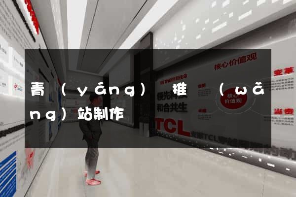 青陽(yáng)縣推廣網(wǎng)站制作