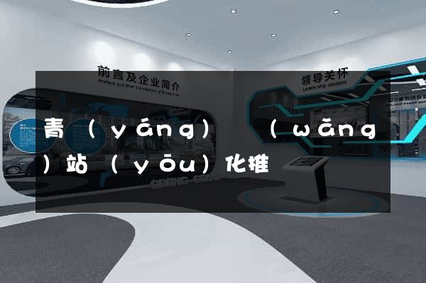 青陽(yáng)縣網(wǎng)站優(yōu)化推廣
