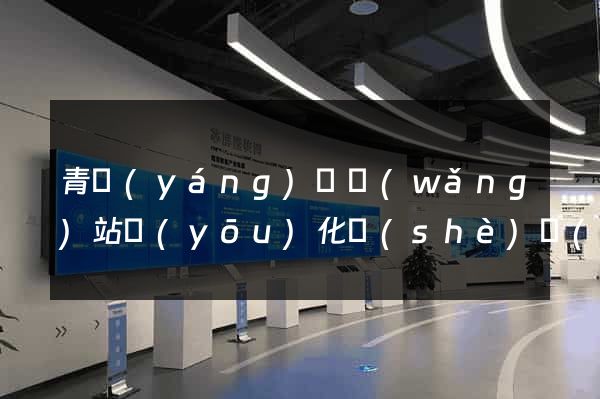 青陽(yáng)縣網(wǎng)站優(yōu)化設(shè)計(jì)公司