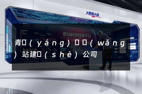 青陽(yáng)縣網(wǎng)站建設(shè)公司