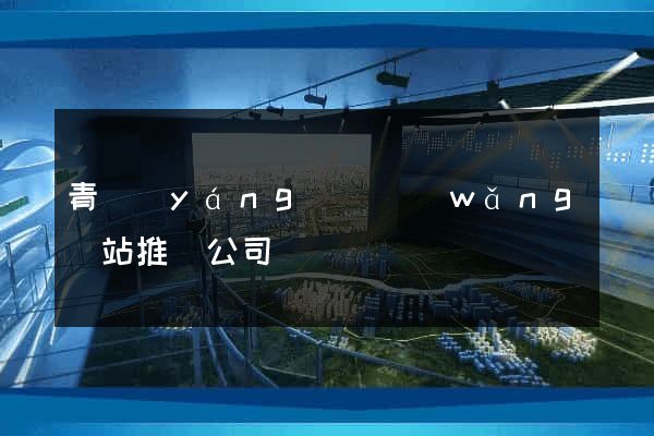 青陽(yáng)縣網(wǎng)站推廣公司