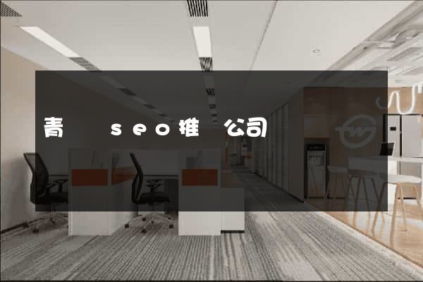 青陽縣seo推廣公司