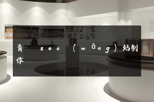 青陽縣seo網(wǎng)站制作