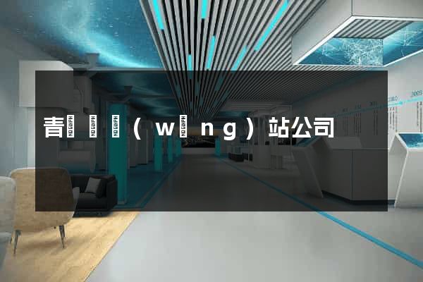 青陽縣網(wǎng)站公司