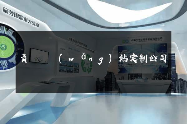 青陽縣網(wǎng)站定制公司