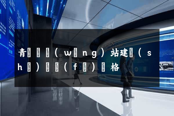 青陽縣網(wǎng)站建設(shè)開發(fā)價格