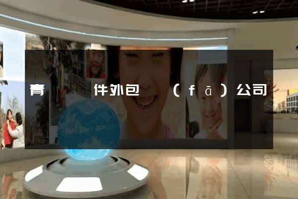 青陽縣軟件外包開發(fā)公司