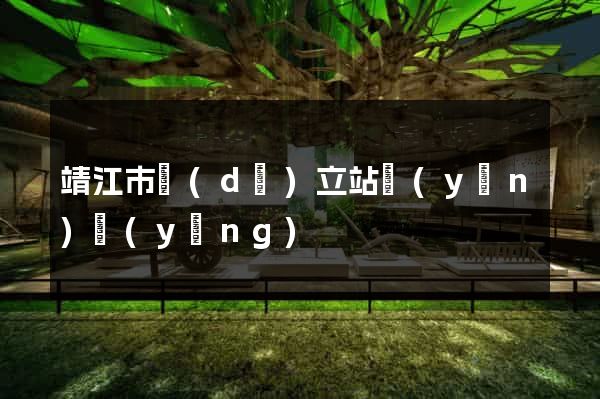 靖江市獨(dú)立站運(yùn)營(yíng)