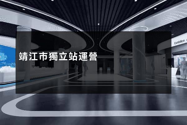 靖江市獨立站運營