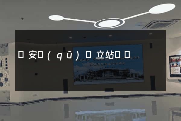 靜安區(qū)獨立站運營