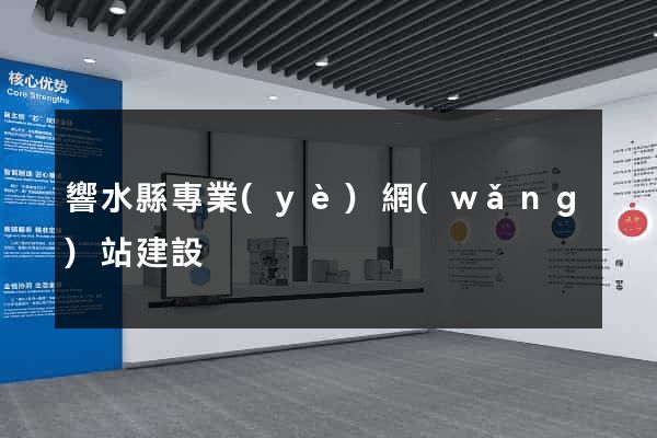 響水縣專業(yè)網(wǎng)站建設