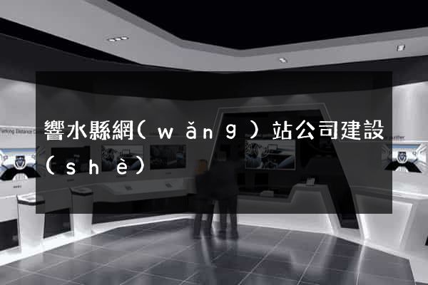 響水縣網(wǎng)站公司建設(shè)