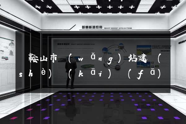 馬鞍山市網(wǎng)站建設(shè)開(kāi)發(fā)