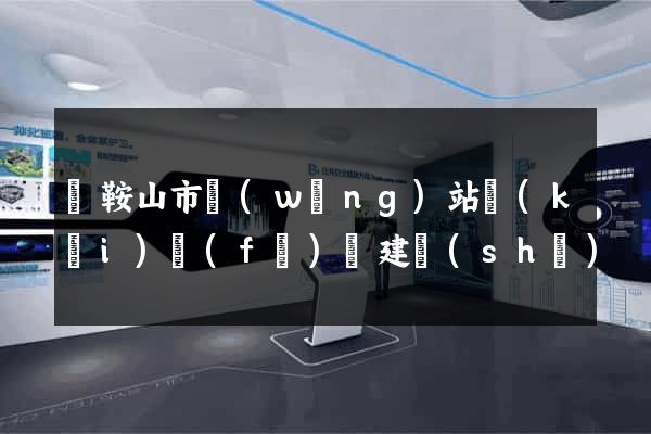 馬鞍山市網(wǎng)站開(kāi)發(fā)與建設(shè)
