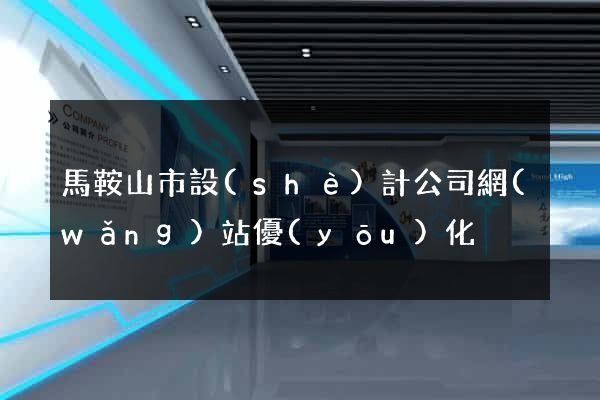 馬鞍山市設(shè)計公司網(wǎng)站優(yōu)化