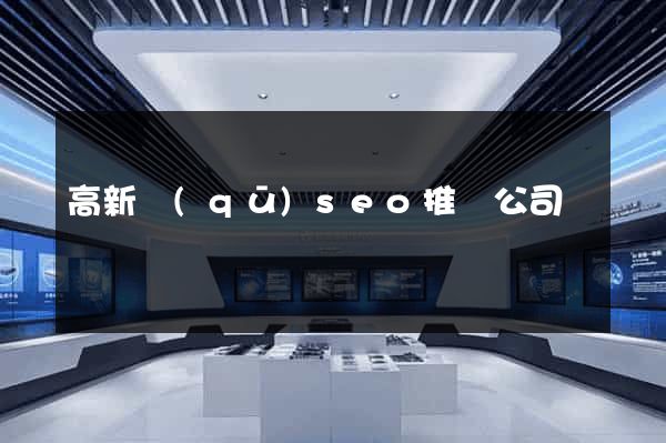 高新區(qū)seo推廣公司