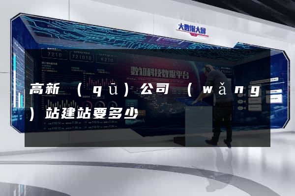 高新區(qū)公司網(wǎng)站建站要多少錢