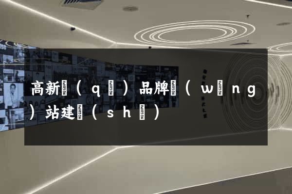 高新區(qū)品牌網(wǎng)站建設(shè)