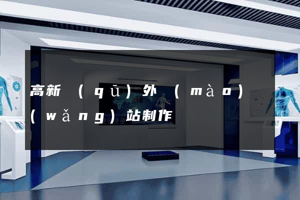 高新區(qū)外貿(mào)網(wǎng)站制作