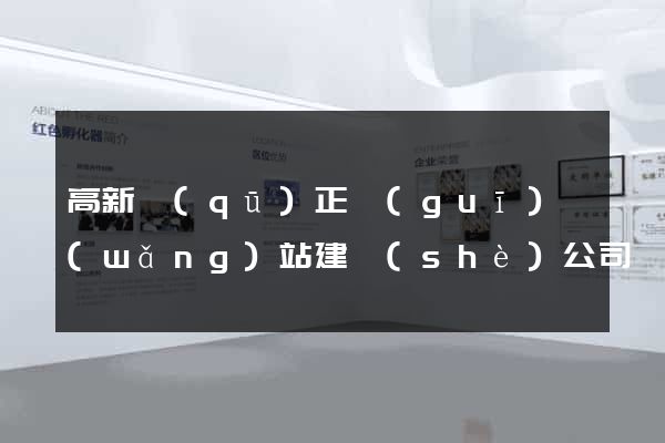 高新區(qū)正規(guī)網(wǎng)站建設(shè)公司