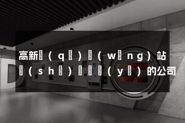 高新區(qū)網(wǎng)站設(shè)計專業(yè)的公司