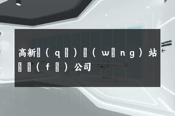 高新區(qū)網(wǎng)站開發(fā)公司